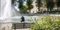 Svensk Fastighetsförmedling Östermalm