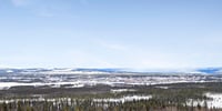 Svensk Fastighetsförmedling Luleå
