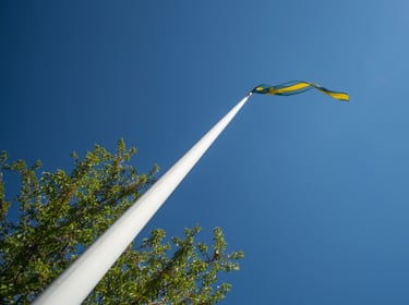 Fast och lös egendom vid bostadsförsäljning