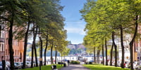 Bjurfors Kungsholmen