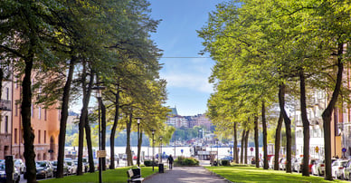 Bjurfors Kungsholmen
