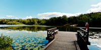 LF Fastighetsförmedling Nyköping