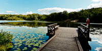 LF Fastighetsförmedling Nyköping