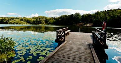 LF Fastighetsförmedling Nyköping