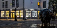 Bjurfors Trelleborg