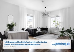 Aleidon Adam exempelprospekt