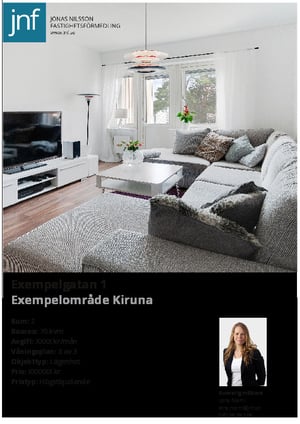 Lena Niemi exempelprospekt