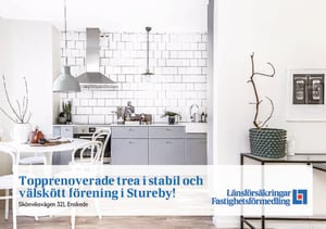 Dennis Sivertsson exempelprospekt